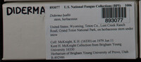 Image Associated With the Occurence